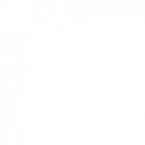 sunflex watermark 01